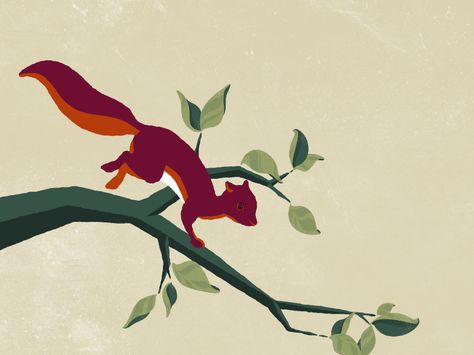 Squirrel run dribbble Squirrel Animation, Glitch Art Photography, Animation Beginner, Meditation Animation, Typography Book Layout, Bird Animation, Jump Animation, Mickey Drawing, Squirrel Illustration