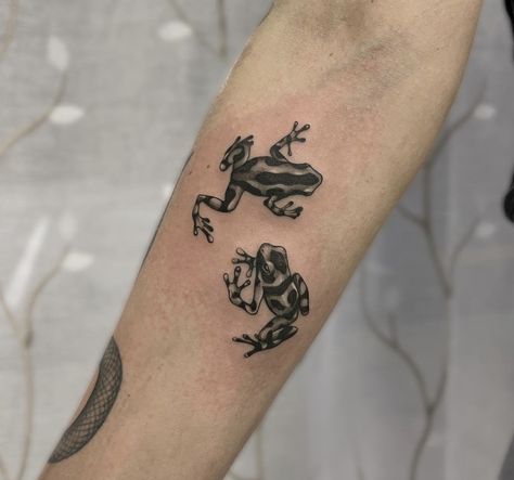 Black And Grey Line Work Tattoo, Poison Dart Frog Tattoo Design, Small Critter Tattoo, Rainforest Frog Tattoo, Animal Tattoos Realistic, Black Squirrel Tattoo, Dark Frog Tattoo, Blocky Tattoos, Poison Frog Tattoo