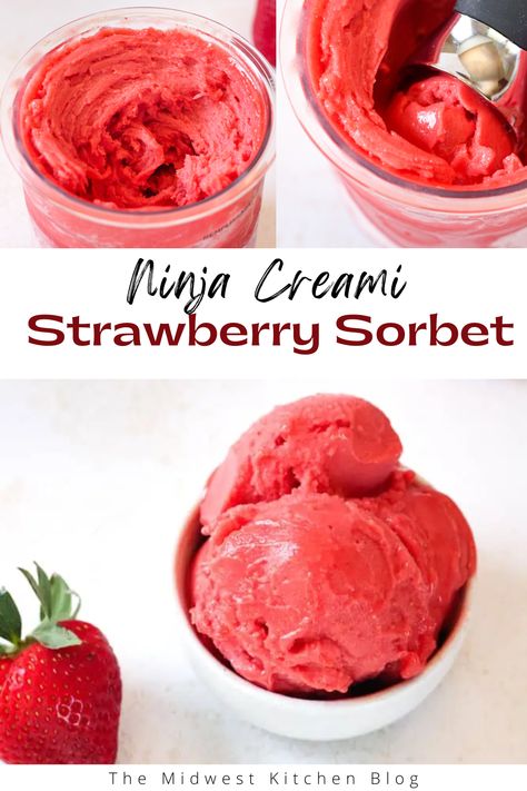 Ninja Creami Ice Cream Recipes Strawberries, Creami Ninja Recipe Dairy Free, Ninja Creami Frozen Fruit, Ninja Creami Ice Cream Recipes No Dairy, Ninja Creami Recipes Dairy Free, Dairy Free Ninja Creami Recipe, Sugar Free Sorbet, Gelato Recipes, Strawberry Sorbet Recipe