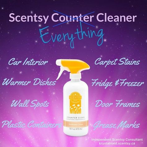 Scentsy Facts, Scentsy Cleaning Products, Fragrance Boutique, Scentsy Hostess, Scentsy Hacks, Scentsy Clean, Scentsy Sample Ideas, Scentsy Australia, Scentsy Posts