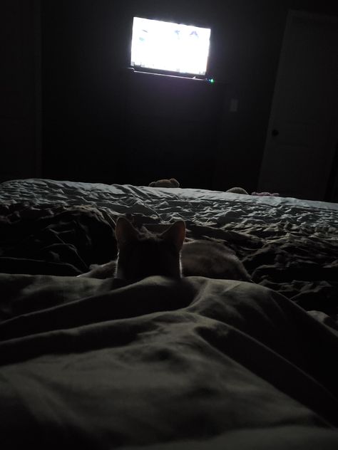 Watching a little late night TV with my Izzie girl! In Bed At Night Aesthetic, Watching Tv In The Dark, Watching Tv At Night Aesthetic, Tv At Night Aesthetic, Late Night Aesthetic Bedroom Couple, Late Night Tv Aesthetic, Tv Night Aesthetic, Watching Tv Aesthetic Night, Late Night Bedroom Aesthetic