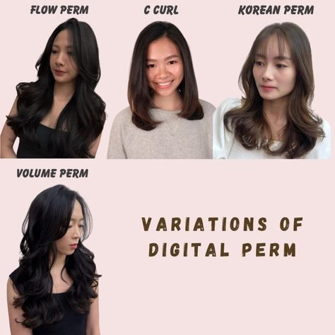 Digital Perm - Picasso Hair Studio Digital Perm Medium Hair, Digital Perm Medium, C Perm, Perm On Medium Hair, C Curl Perm, Korean Digital Perm, Light Perm, Perm Ideas, Curl Perm