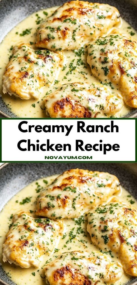 Need a crowd-pleasing dish for your next gathering? Discover the Creamy Ranch Chicken Recipe, a creamy, savory delight that’s not only simple to make but also guarantees a delicious meal for your loved ones. Ranch Seasoning Baked Chicken, Crockpot Creamy Ranch Chicken Recipes, Creamy Chicken Gloria, Easy Chicken Dishes For A Crowd, Chicken Breast Ranch Recipes, Creamy Ranch Chicken Oven, Chicken Ranch Casserole Recipes, Creamy Chicken Dishes, Chicken Dinner For A Crowd