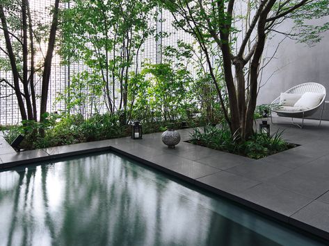 japanese garden / pool / frame Japanese Pool, Japanese Inspired Garden, Moderne Pools, Garden Japanese, Landscape Gardening, Pool Landscape Design, Minimalist Garden, Japanese Garden Design, Modern Landscape Design