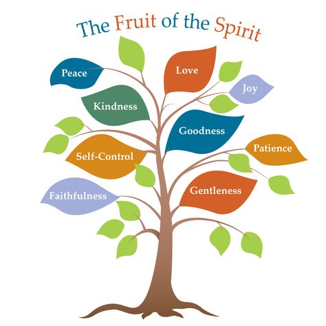 An image presenting the fruit of the Spirit printed on leaves of a tree. The fruit of the Spirit include peace, love, joy, kindness, goodness, patience, self-control, faithfulness, and gentleness. Fruit Of The Spirit Mural, The Fruit Of The Spirit For Kids, Fruit Of The Spirit Tree, Fruit Love, The Fruit Of The Spirit, Tree Coloring Page, Tree Spirit, Fruit Of The Spirit, Tree Illustration