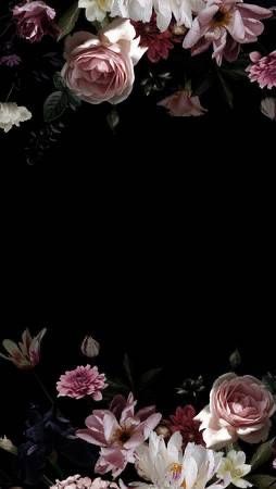 Background For Text, Vintage Wall Mural, Black Flowers Wallpaper, Black Floral Wallpaper, Flowers Black Background, Roses And Peonies, Flowers Photography Wallpaper, Floral Wallpaper Phone, Flower Iphone Wallpaper