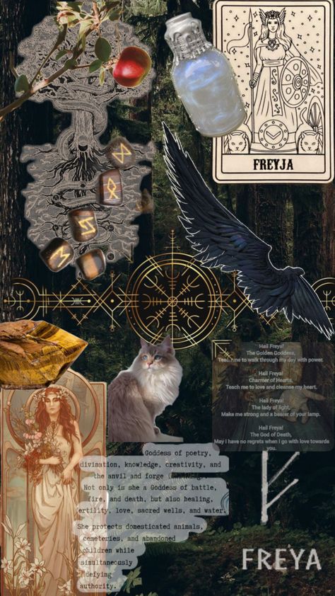 #Freya #goddess #nordic Freya Wallpaper Goddess, Nordic Aesthetic Wallpaper, Nordic Wallpaper Iphone, Nordic Witchcraft, Freyja Aesthetic, Frigga Goddess, Freya Core, Norse Mythology Goddesses, Erin Core