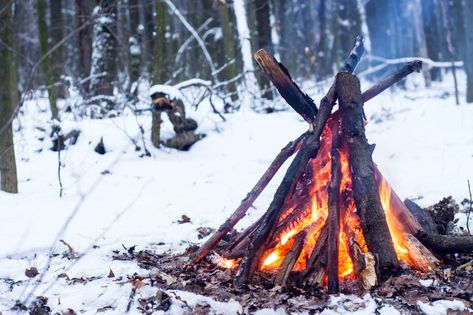 Solstice Winter, Happy Winter Solstice, Solstice Celebration, Medicinal Tea, Save Wildlife, Winter Street, Wood Images, Agent Of Change, Indigenous People