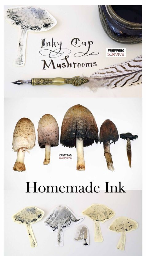 Ink Making Process - It's so easy! - Preppers Survive Prepping List, How To Make Ink, Survival Prepping List, Ink Making, Homemade Paint, Eco Dyeing, Earth Pigments, Natural Art, Eco Printing