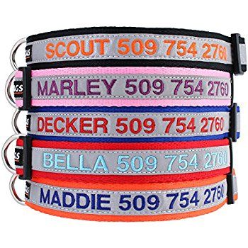 AmazonSmile : Embroidered Reflective Metal Buckle Dog Collar - Personalized Dog Collar with Pet Name and Phone Number. Safety Reflective Dog Collar. : Pet Collars : Pet Supplies Dog Collar With Name, Personalized Dog Collars, Pet Name, Quick Release Buckle, Custom Cat, Pet Id Tags, Boy And Girl, Personalized Embroidered, Girl And Dog