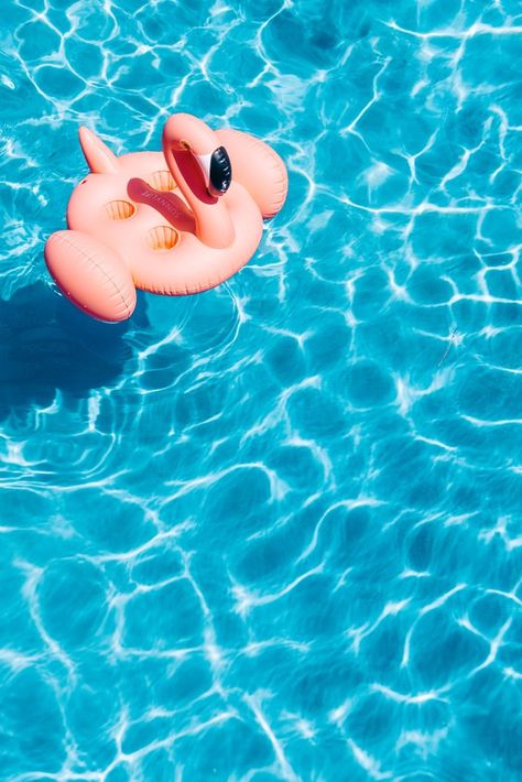 Pool Wallpaper, Shallow Pool, Pink Flamingo Pool, Pool Party Food, Flamingo Pool, Plan Image, Flamingo Wallpaper, Summer Iphone, Blue Pool