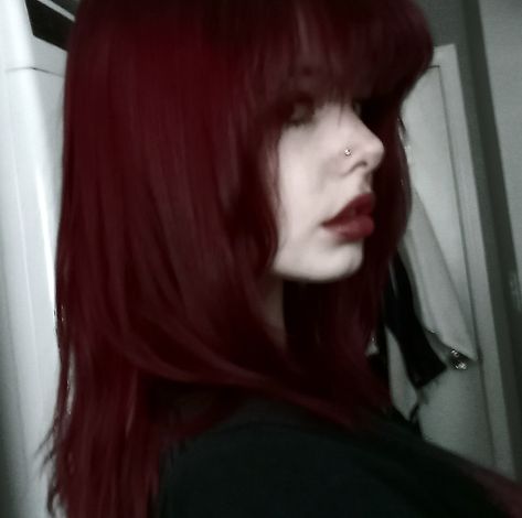 #hair #redhair #red #alt #bangs #layers #emo Dark Red Alt Hair, Red Pink Black Hair, Tv Girl Hair Dye, Dark Red Emo Hair, Dark Red Hair And Green Eyes, Red Hair With Bangs Aesthetic, Haircuts For Long Red Hair, Hair Colour Ideas For Dark Hair, Red Hair In A Ponytail