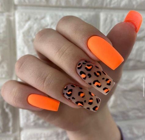 Leopard Print Nails Orange, Orange Nails Design Summer, Orange Animal Print Nails, Orange Cheetah Nails, Cheetah Print Nails Fall, Orange Leopard Nails, Neon Orange Nails With Design, Orange And White Nail Designs, Neon Animal Print Nails