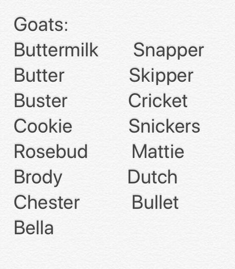 Goat names Stardew Valley Animal Names, Show Sheep Names, Stardew Valley Farm Names Ideas, Cute Stardew Valley Farm Names, Livestock Names, Farm Names Stardew Valley, Stardew Valley Farm Names, Pack Goats, Goat Names