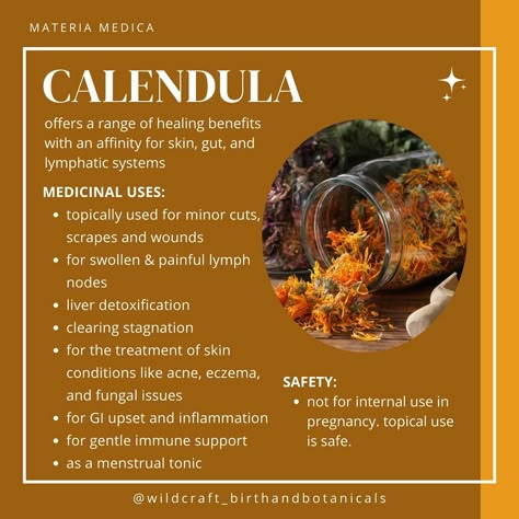 Materia Medica: Calendula 🌼 Often associated with the sun, calendula is a valuable addition to the garden, attracting pollinators, aiding in pest control, adding a gorgeous pop of golden yellow, and serving as a versatile medicine. I have calendula planted throughout my garden, ready to be transformed into healing balms and herbal tea! Its anti-inflammatory and skin-healing properties make it an essential part of my apothecary. Share your favorite calendula tips below! 🌿✨ #Calendula #He... How To Harvest Calendula, Benefits Of Calendula Tea, Benefits Of Calendula For Skin, Calendula Tea Benefits, Calendula Tea, Calendula Extract, Herbal Education, Calendula Benefits, Magickal Herbs