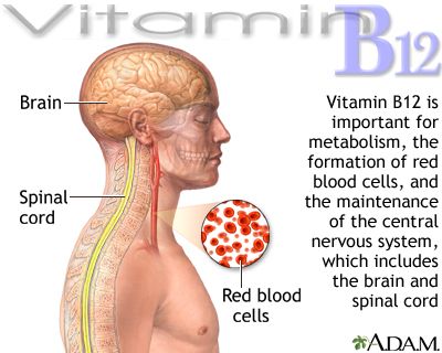 Vitamin B12 benefits Brain Vitamins, Vit B12, Metabolic Balance, Speed Up Your Metabolism, B12 Deficiency, Vitamin B12 Deficiency, B 12, Central Nervous System, Vitamin B12