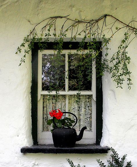 A very traditional scene of an Irish Cottage - small wooden windows, black potted kettle with stricking red geranium, whitewash walls, more than likely made from mud. Cottage Windows, Irish Cottage, Red Geraniums, Wooden Windows, Beautiful Windows, White Cottage, Old Windows, Small Windows, Window View