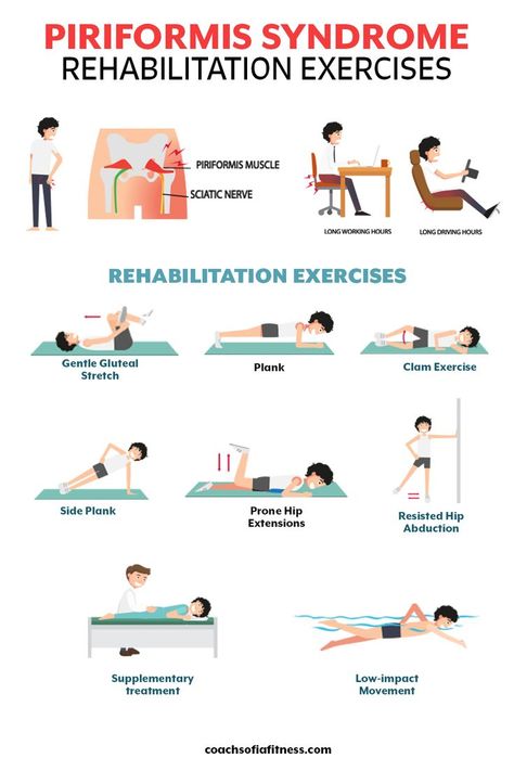 If you have piriformis syndrome that is aggravated by sitting or driving, make sure you are including some of these rehabilitation exercises into your routine. These exercises will strengthen your core, glutes, and increase hip mobility. Piriformis syndrome symptoms should decrease when you apply these exercises on a regular basis. Strengthen Piriformis Muscle, Hip Physical Therapy, Piriformis Syndrome Stretches, Physical Therapy Hip Exercises, Paraformus Stretches, Hip Pt Exercises, Exercises To Strengthen Hip Joints, Piriformis Strengthening Exercises, Deep Gluteal Syndrome