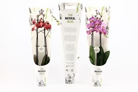 Orchid Packaging Design, Christmas Gift Meme, Plant Packaging, Decor Spa, Gifts Wrapping Diy, Flower Packaging, Candle Gift, Flower Shop, Gift Packaging