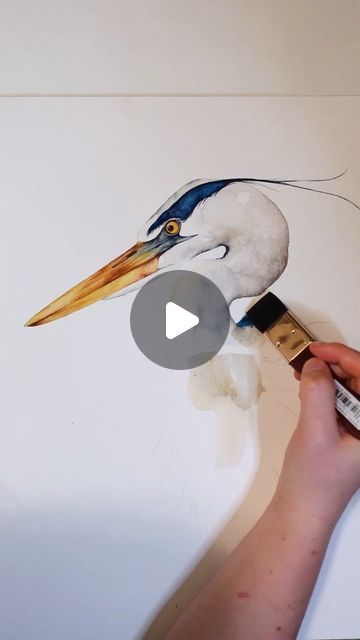 Watercolour Heron, Watercolor Birds Tutorial, Heron Watercolor, Heron Illustration, Bio Materials, Brush Techniques, Bird Watercolor Art, Heron Art, Painting Flowers Tutorial