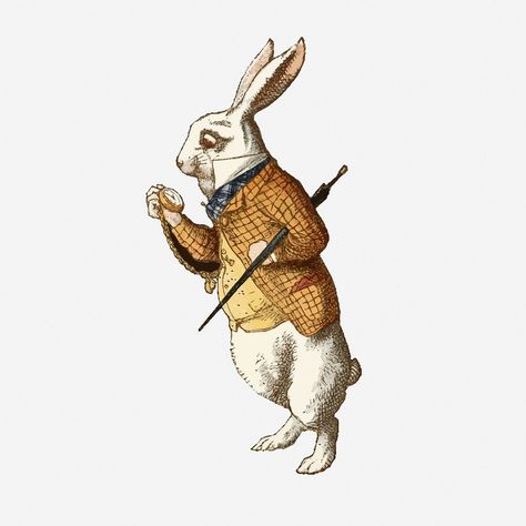 Hare Illustration, White Rabbit Alice In Wonderland, Easter Bunny Pictures, Female Rabbit, Alice In Wonderland Vintage, Beatrix Potter Books, Rabbit Clipart, Rabbit Png, Alice In Wonderland Characters