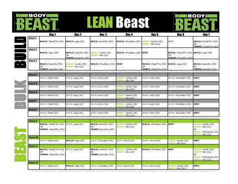 Workout schedule for Body Beast's LEAN Beast (for those who want to add muscle but also lose some weight). Also includes routine length! Body Beast Workout Schedule, Body Beast Meal Plan, P90x Workout Sheets, Body Beast Workout Sheets, Lean Workout, Chest And Back Workout, Workout Sheets, Beast Workout, Body Beast