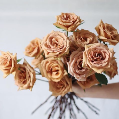 toffee rose Toffee Rose, Rose Varieties, Shade Flowers, Neutral Wedding, Beautiful Bouquet Of Flowers, Blush Wedding, Types Of Flowers, Toffee, Wedding Designs