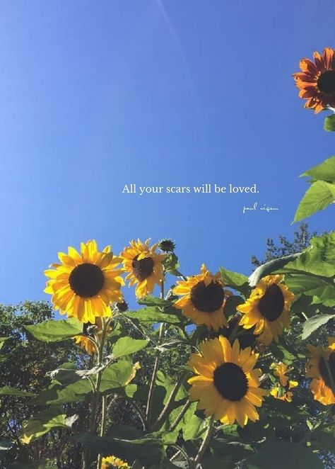 Lit Captions, Sunflower Quotes, Excellence Quotes, One Liner Quotes, Love Truths, Dear Self Quotes, Love Smile Quotes, Flower Quotes, Christian Quotes Inspirational