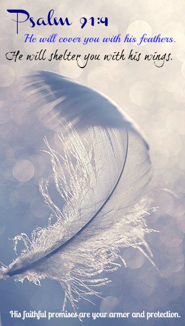 Psalm 91:4 He will cover you with his feathers. He will shelter you with his wings. His faithful promises are your armor and protection. #2015-106Psalmsin106 days. White Feather, Floating, White