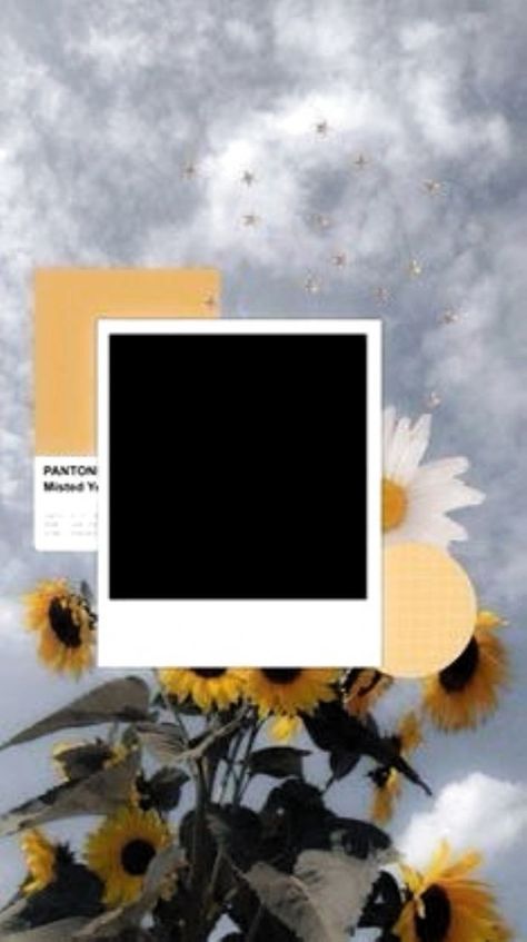 Best Instagram templates Polaroid Picture Frame, Collage Foto, Wallpaper Estetika, William Eggleston, Creation Photo, Instagram Photo Frame, Birthday Post Instagram, Polaroid Frame, Instagram Background