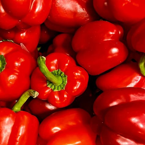 These versatile peppers are perfect for adding a pop of colour and crunch to your salads, stir-fries, and roasted dishes. Experiment with stuffing them for a delightful main course or simply enjoy them raw as a crunchy snack. Packed with vitamins A and C, and rich in antioxidants, our Red Peppers are as nutritious as they are delicious. For optimum freshness, store in a cool place and consume within a week of purchase. Let our Red Peppers bring a rainbow of taste and texture to your culinary cre Alevel Art, Backyard Birthday, Oc Stuff, Crunchy Snack, Pepper Plants, Farm Shop, Gcse Art, Stir Fries, Red Pepper