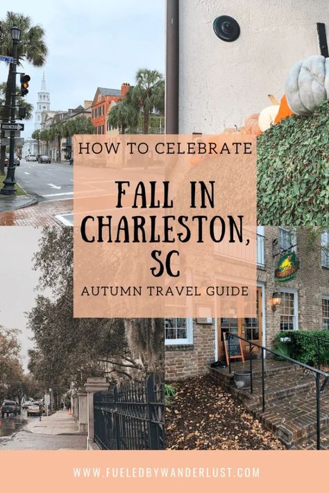 Fall in Charleston SC Visit Charleston Sc, Charleston Sc Things To Do, Charleston Travel Guide, Charleston Vacation, South Carolina Vacation, Autumn Travel, South Carolina Travel, Charleston Travel, Usa Travel Guide