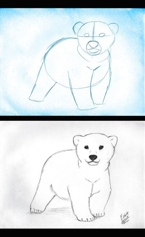 Draw Polar Bear, Polar Bear Drawing, Bear Sketch, Polar Bear Art, Bear Paintings, Bear Drawing, 강아지 그림, Bear Cub, Bear Art