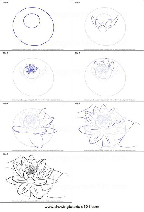 How to draw a flower Sketching 101 Step By Step, How To Draw A Water Lily Step By Step, How To Draw A Water Lily, Koi Fish Drawing Step By Step, How To Draw Lotus, How To Draw A Koi Fish, Water Lily Drawing, Hur Man Ritar Blommor, Lily Drawing