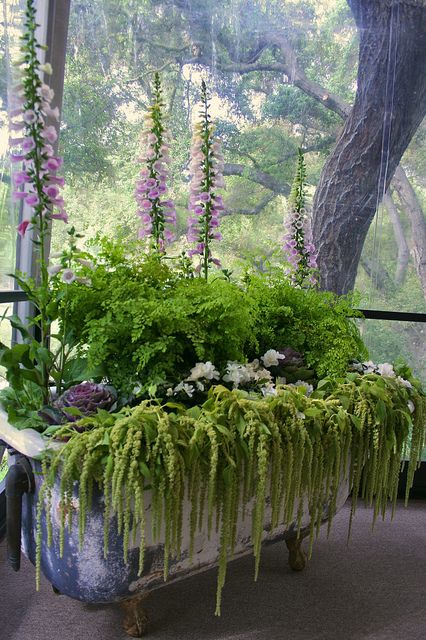 vintage bath tub planter    The designer for the Pasadena Showcase House restaurant, Corianne Bright, put together this lovely planting in an old vintage footed bath tub, it was really lovely. Taman Vintage, Garden Bathtub, Lots Of Plants, Tanaman Pot, Garden Container, Upcycle Garden, Cottage Exterior, Have Inspiration, Garden Containers