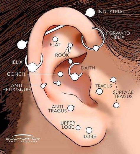 tipos de piercing en la oreja Ušný Piercing, Ear Piercing Names, Piercing Bouche, Different Ear Piercings, Men's Piercings, Types Of Ear Piercings, Forward Helix Piercing, Cool Ear Piercings, Pretty Ear Piercings