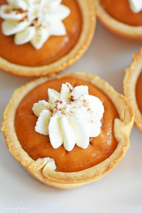 Mini Pumpkin Pies Made in a Muffin Tin. so easy to eat, and perfect for kids! Small Pies, Pie Pumpkins, Gingerbread Cheesecake, Pumpkin Tarts, Dessert Snacks, Thanksgiving Favors, Pie Pops, Mini Pumpkin Pies, Pumpkin Pies