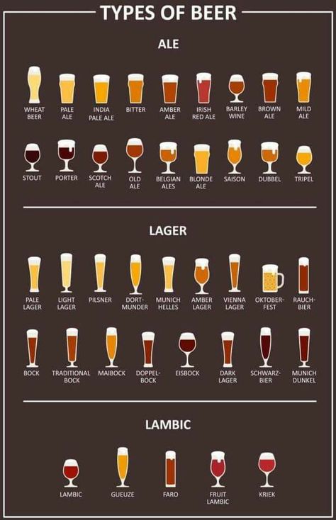 Beer Infographic, Beer Calories, Beer Food Pairings, Beer Facts, Different Types Of Beer, Beer Types, Beer Guide, Types Of Beer, Beer Pairing