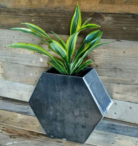 Geometric Box, Metal Flower Pots, Steel Planters, Steel Flowers, Contemporary Modern Furniture, Office Plants, Metal Planters, Metal Projects, Plant Shelves