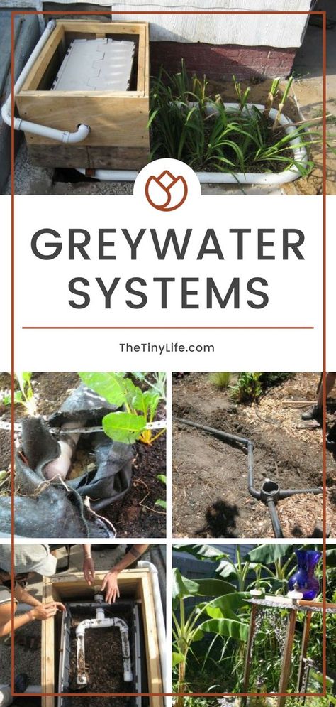 Grey Water System Diy, Grey Water Recycling, Water Collection System, Grey Water System, Doomsday Preppers, Water Purification System, Homesteading Skills, Water Collection, Earth Homes