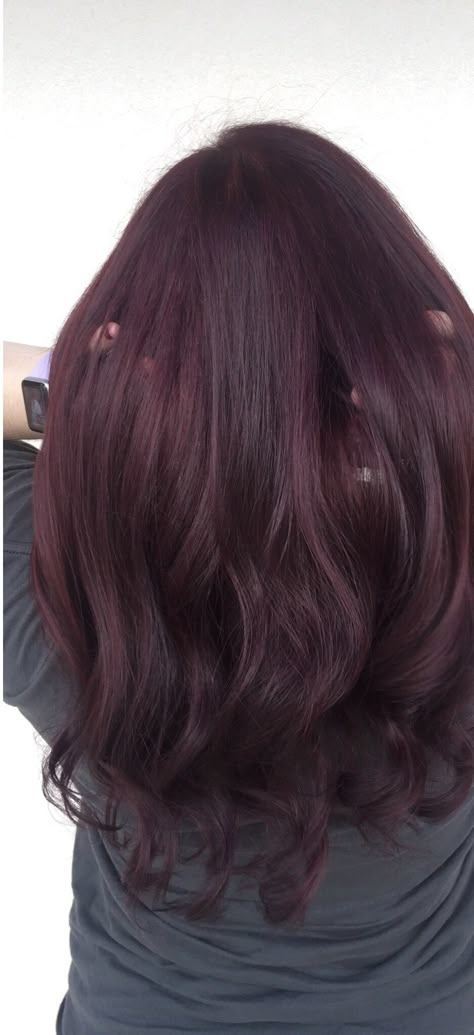 Magenta Brunette Hair, Purplish Red Hair Color, Dark Hair Purple Tint, Chocolate Purple Hair, Red Hair On Pale Skin, Violet Copper Hair, Brown Plum Hair, Brownish Purple Hair, Plum Hair Highlights