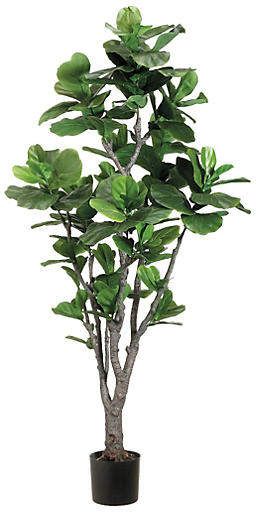 One Kings Lane 6' Bravos Planter - Faux Fiddle Leaf Tree, Fiddle Fig, Indoor Trees, Fiddle Leaf Fig Tree, Ficus Lyrata, Ficus Tree, Silk Tree, Plant Decor Indoor, Silk Plants