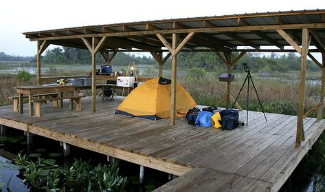 <3 + swamp platform = skunk ape