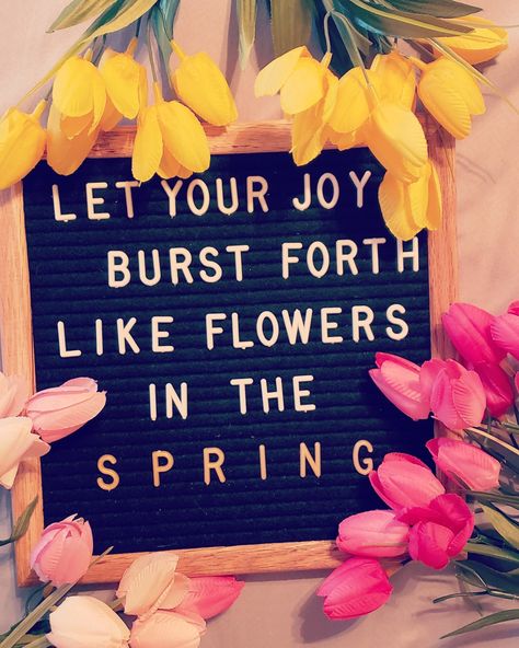 April Letter Board Quotes, Easter Letterboard Quotes, Sayings For Letter Boards, Spring Letter Board Quotes, Spring Letter Board, Letterbord Quotes, Quotes Spring, Letterboard Ideas, Letterboard Signs