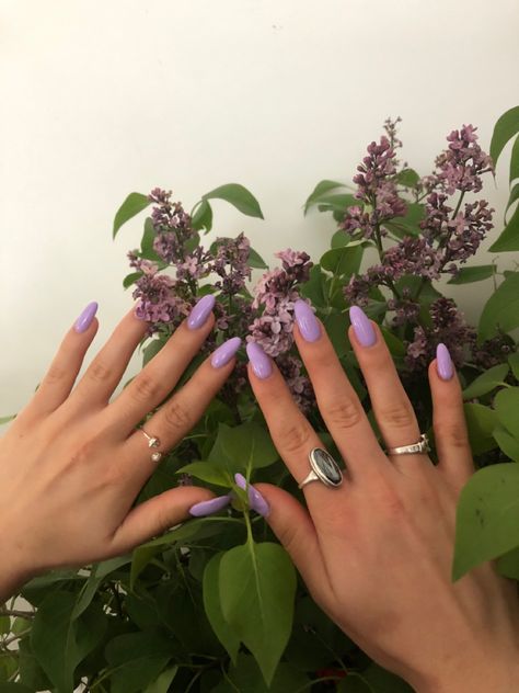 Lilac Almond Nails, Vegas Nails, Swift Aesthetic, Purple Tips, Lilac Nails, Purple Acrylic Nails, Classic Nails, Nails 2021, Beauty Inspo