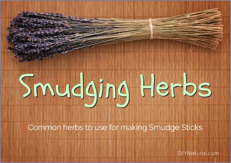 Herbs To Use For Your Homemade Smudge Sticks Herb Tips, Smudge Sticks Diy, Smudging Herbs, Sage Smudging, Healthy Herbs, Herbal Recipes, Herbal Bath, Herbal Apothecary, Herbal Magic