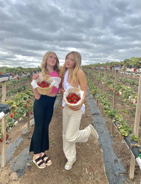 Strawberry Picking With Friends, Strawberry Picking Aesthetic Friends, Strawberry Picking Outfit Aesthetic, Berry Picking Photoshoot, Fruit Picking Aesthetic, Berry Picking Outfit, Berry Picking Aesthetic, Strawberry Picking Aesthetic, Strawberry Picking Pictures