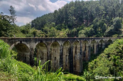 Nine arch bridge Sri Lanka Aesthetic, Ella Sri Lanka, Wild Animals Photos, Gorgeous Places, Arch Bridge, Fun Things, Sri Lanka, Animals Wild, Travel Inspiration