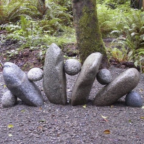 Funny Vine, Garden Edging Ideas, Jardim Diy, Edging Ideas, Rock Garden Landscaping, Have Inspiration, Garden Edging, Unique Gardens, Garden Care