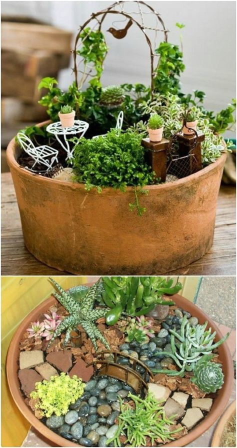 20 Magical DIY Fairy Gardens That Add Wonder To Your Home And Garden - Fairy gardens are so much fun and you just won’t believe how easy they are to make. In fact, I have collected 20 magical DIY fairy gardens that will help you to add wonder to your home and garden. #diy #crafts #decorating #garden #home #fairygardens #handmade #repurpose Fairy Garden Pots, Indoor Fairy Gardens, Fairy Garden Plants, Succulent Garden Design, Fairy Garden Crafts, Fairy Garden Designs, Succulent Garden Diy, Mini Fairy Garden, Dish Garden